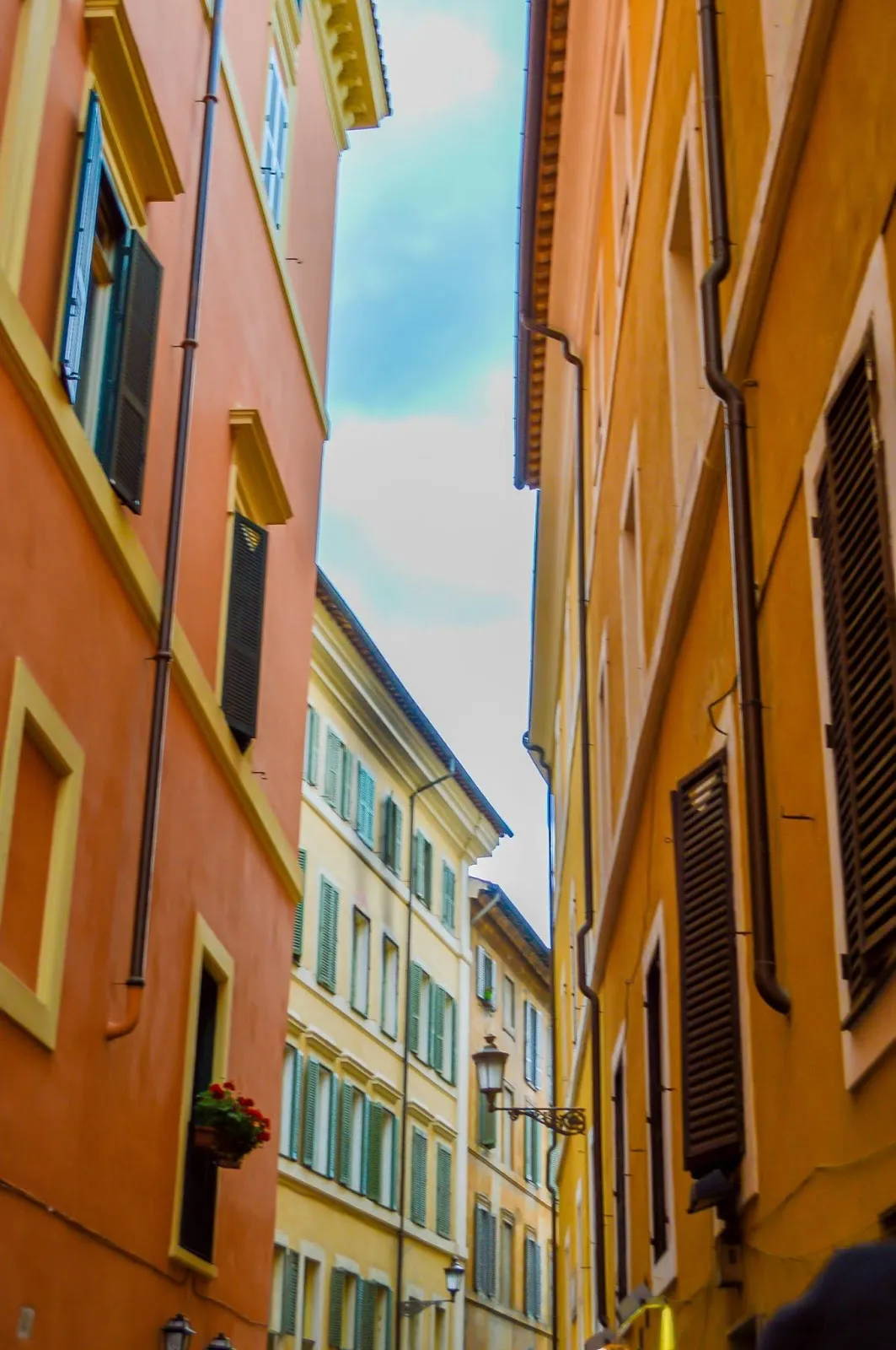 3188 packing essentials cruise