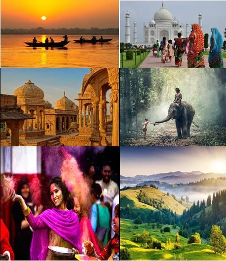 3290 romantic dinner