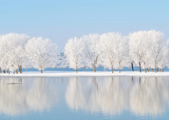 3398 morocco honeymoon