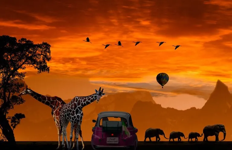 3450 andaman honeymoon snorkeling