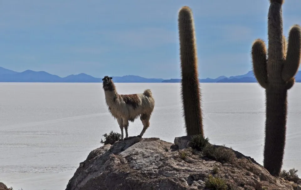 /img/3501-travel-hacks-for-honeymoon.webp