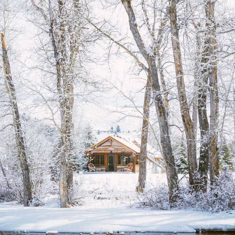 3562 tropical paradise